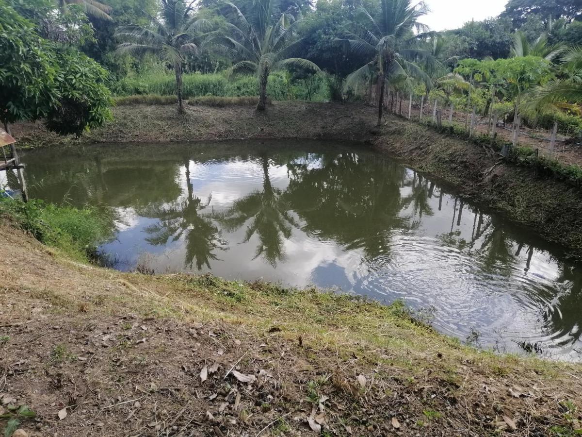 Sameikei Homestay Phrae Dış mekan fotoğraf